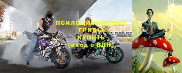 mdpv Алзамай