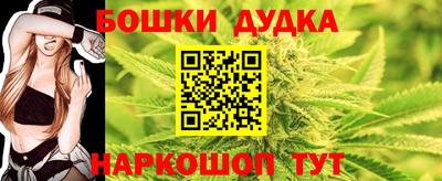 МДПВ Будённовск