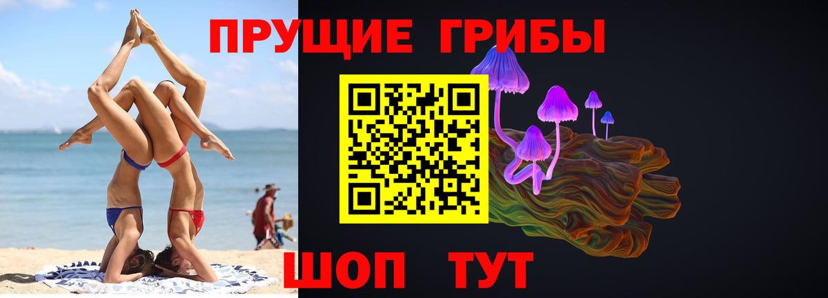 Галлюциногенные грибы прущие грибы Краснознаменск