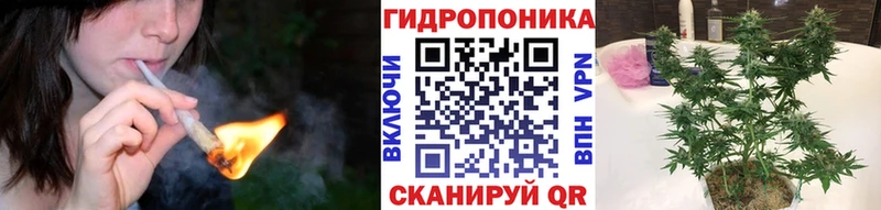 купить наркотик  Краснознаменск  hydra зеркало  Бошки Шишки планчик 